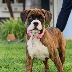 Meet your Posher, Mayra